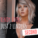Cheap Trendy Look Series: Episode 1, a new look for just 2 Lindens