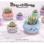 Catplants – Gift for Stay at Home