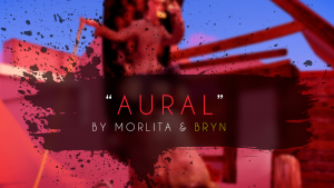 Second Life Art: Aural by Morlita Quan and Bryn Oh