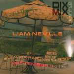 Summer Party with Liam Neville at Dixmix Gallery